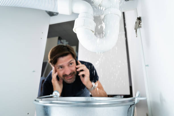 Best Emergency Plumber  in Lavonia, GA