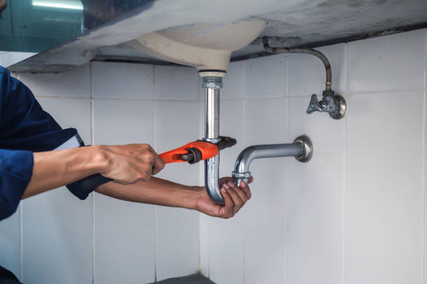 Best Water Softener Installation  in Lavonia, GA