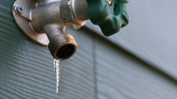Best Sewer Line Repair  in Lavonia, GA