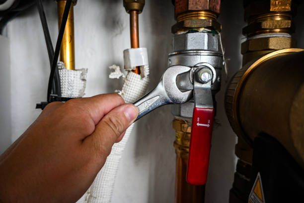 Best Water Heater Repair  in Lavonia, GA